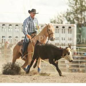 Meet your Posher, Jd